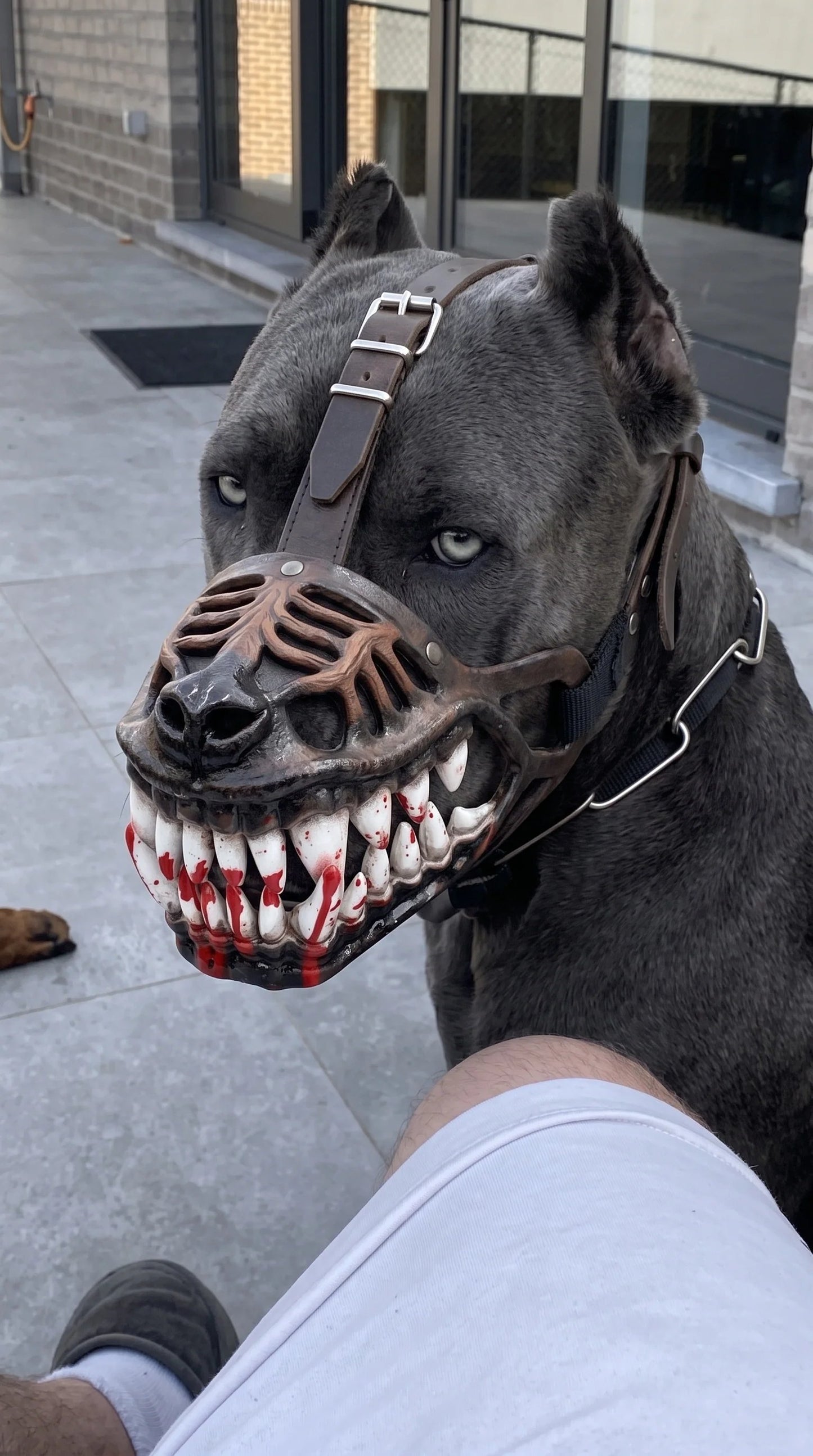 🎃 EARLY HALLOWEEN 80% OFF🔥🐶Hell Hound Monster Muzzle