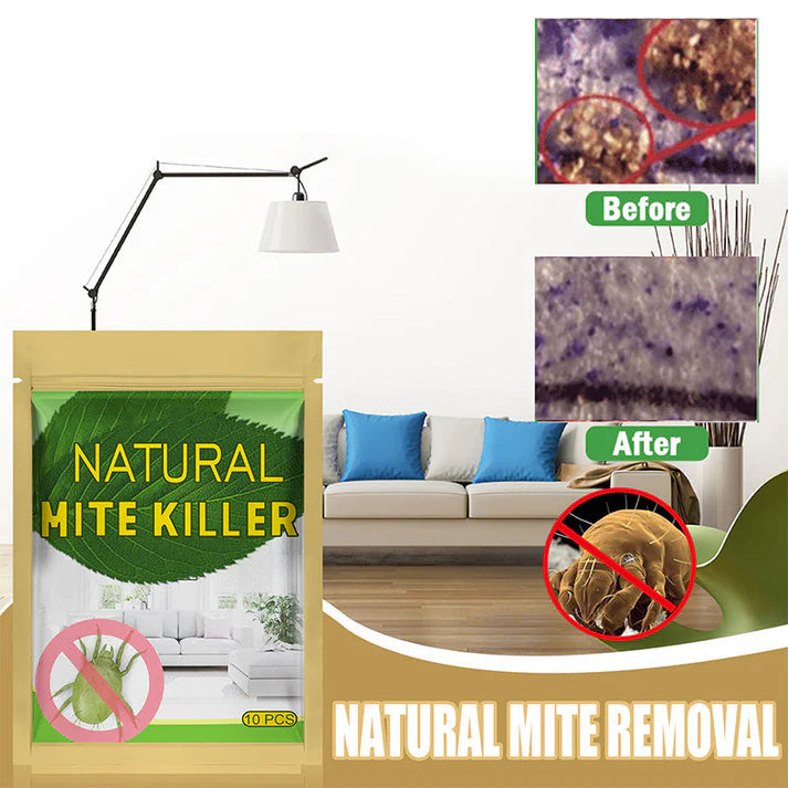 BUY 3 + GET 2 FREE — 5 BAGS 🎁 FOR A HEALTHIER HOME LONGER ✈️ FREE SHIPPING